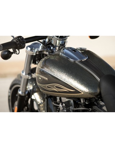 Metal Flakes Silver 08 Original American HD Style in Matte Base