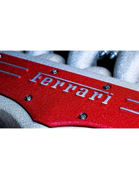 XL Ferrari-Rot Hochtemperatur-Faltenlack für Motoren - 500g